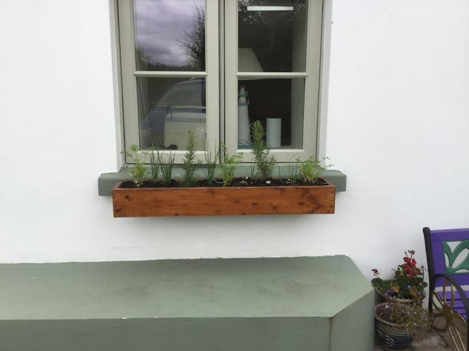 An Bothán-Cosy Cottage in the Cooley Mountains Dundalk Exterior foto